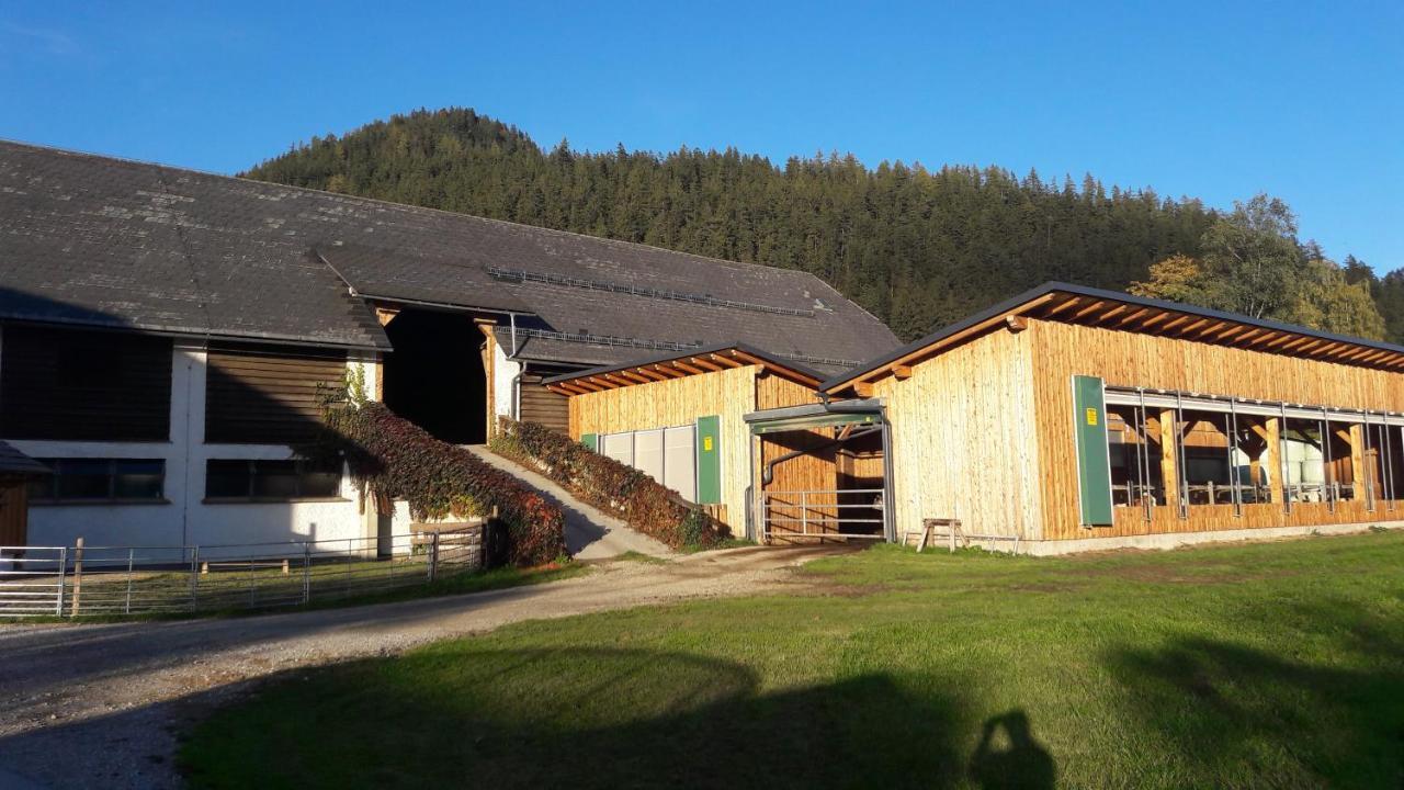 Schusterbauernhof Apartman Bad Mitterndorf Kültér fotó